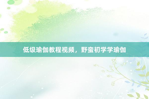 低级瑜伽教程视频，野蛮初学学瑜伽